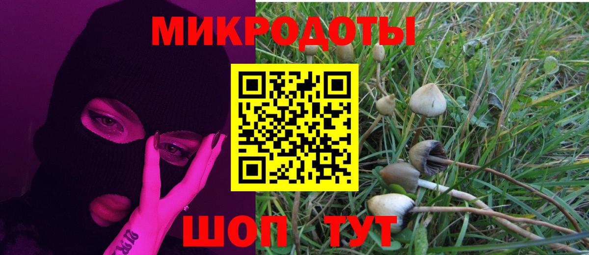 Псилоцибиновые грибы MAGIC MUSHROOMS  Вход с VPN  Галлюциногенные грибы Cubensis  Красноярск 